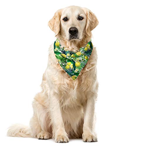 ABAKUHAUS Dschungel Haustier Bandana, Exotische Pflanzen Green Leaf, 55x55 cm, Yellow Forest Green von ABAKUHAUS