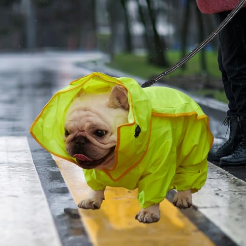 ABE Hunde-Regenmantel, Hunde-Regenjacke für Hunde, Hunde-Regenmantel für große Hunde, Hunde-Regenmantel für kleine Hunde (Größe M) von ABE