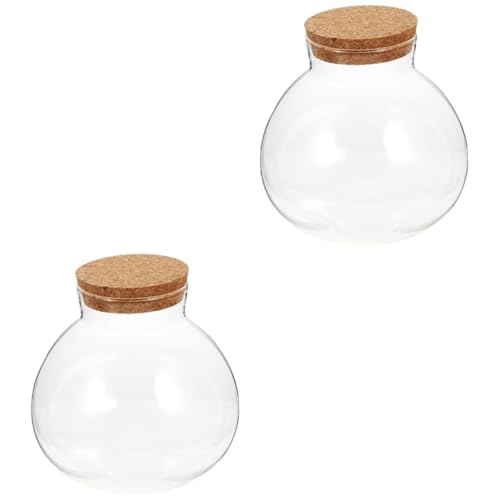 ABOOFAN 2St Glasgefäß aus Kork rundes Glas Mini-Dekor Luft Anlage Vase Mikrolandschaft ökologische Flasche Mikrolandschaftsflasche Pflanze Eco-Flasche Kunsthandwerk Container Einmachglas von ABOOFAN