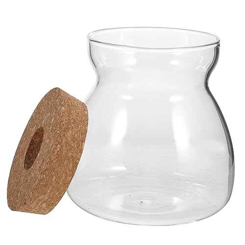 ABOOFAN Terrarium mit Deckel Mittlerer Hydroponischer Pflanzenbehälter für Sukkulenten und Mikro Landschaften für Dekorative Innenräume Transparentes Design mit Praktischem im Deckel ABOOFAN Terrarium mit Deckel Mittlerer Hydroponischer Pflanzenbehälter für Sukkulenten und Mikro Landschaften für Dekorative Innenräume Transparentes Design mit Praktischem im Deckel von ABOOFAN