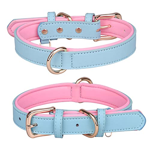 ABRRLO Hundehalsband Hund Halsbänder pet Dog Collar Halsband für Kleine Mittel Große Hund Komfortabel und Verstellbare（Blau L） von ABRRLO