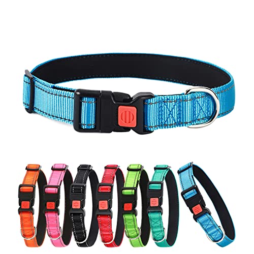 ABRRLO Hundehalsband Reflektierende Hund Halsband Verstellbare Nylon Hunde Halsbänder Pet Dog Collar for Kleine Mittel Große Hunde（Himmelblau,S） von ABRRLO