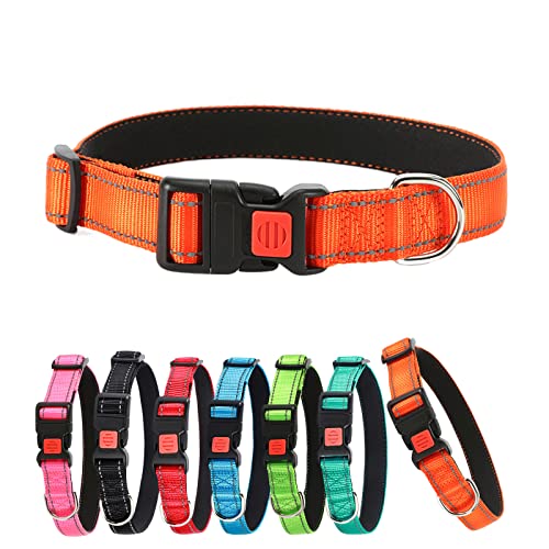 ABRRLO Hundehalsband Reflektierende Hund Halsband Verstellbare Nylon Hunde Halsbänder Pet Dog Collar for Kleine Mittel Große Hunde（Orange,M） von ABRRLO