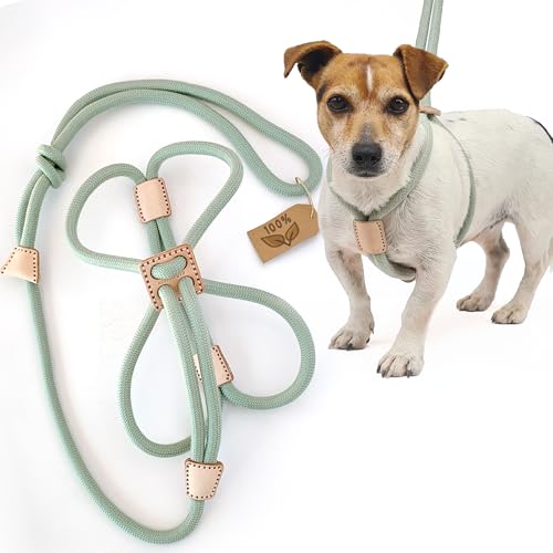 ACARAPETS - Leine, Halsband und Geschirr - All-in-One für Hunde - Ergonomische Passform gegen Scheuern. von ACARAPETS