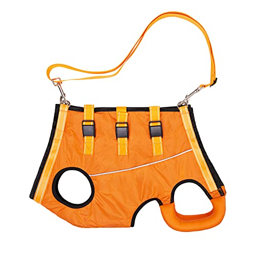 Hundegeschirr leicht, Hund Ganzkörperunterstützung & Rehabilitation Sling Lift Verstellbare Gurte mit Griff für alte, Verlust der Stabilität Hunde Spaziergang (klein, orange) von ACDOK