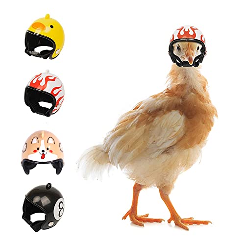 ACMEDE 4 Pcs Haustier Huhn Helm Vogel Sicherheitshelm Hut Kleines Haustier Schutzhelm Lustige Geflügelküken Kopfbedeckung Papagei Helm Spielzeug für Weihnachten Geburtstag Kostüm Zubehör von ACMEDE