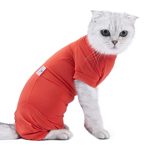 Katzenkleidung, Leichter, Bequemer Pullover für Katzen, Katzenjacke mit Ärmeln für Welpen, Kätzchen, Kleine Mittelgroße Hunde und Katzen (Groß) von ACOGEDO