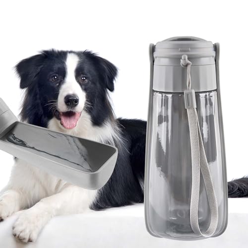 ACTOYS Trinkflasche Hunde Unterwegs, 550ML Wasserflasche Hund Faltbar, Portable Dog Water Bottle, BPA-Frei Leckdichte Tragbare Wasserflasche Haustiere, zum Wandern, Reisen und Campen(Grau) von ACTOYS