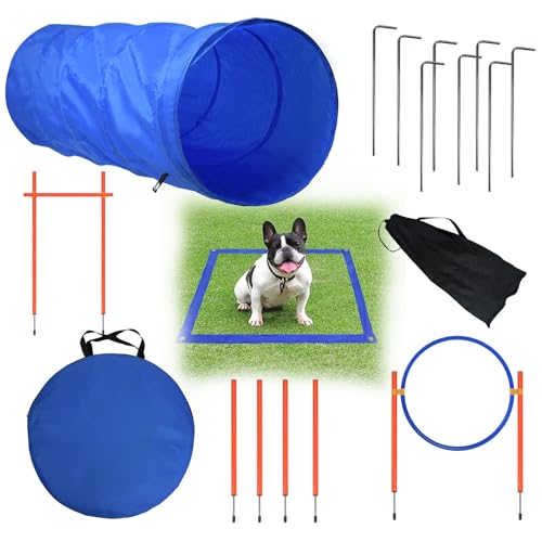 ACXIN Hund Agility Set, Erweitertes Trainingskit mit Verstellbarer Hürdenstange, Sprungring, Hundetunnel und Pausenfeld, Interessantes Spiel- und Trainingszubehör für Hunde von ACXIN