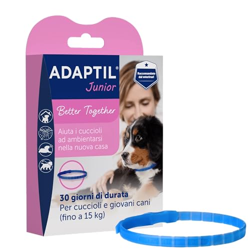 ADAPTIL Junior Beruhigendes Halsband für Welpen, beruhigende Pheromone, Stressabbau für ängstliche Welpen, Entspannung für Lernwelpen und stressige Momente von ADAPTIL