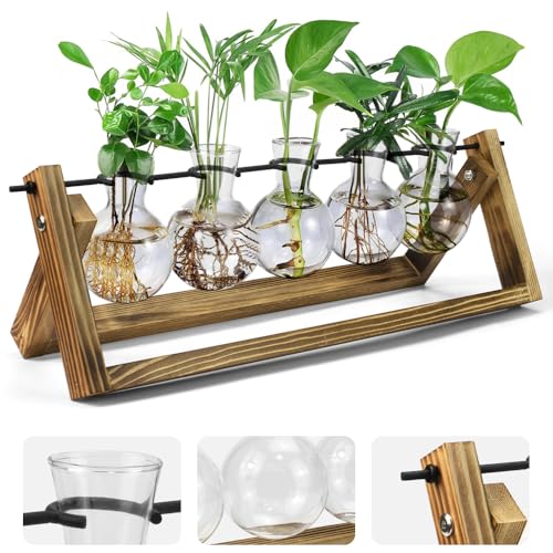 ADERTOS Pflanzen-Terrarium mit Holzständer, Pflanzenanzuchtstationen, Desktop-Glasvase, Blumen-Vase, Retro-Glas-Pflanzgefäß für den Innenbereich, lebende Hydrokultur-Pflanzen, Büro, Zuhause, Garten, von ADERTOS