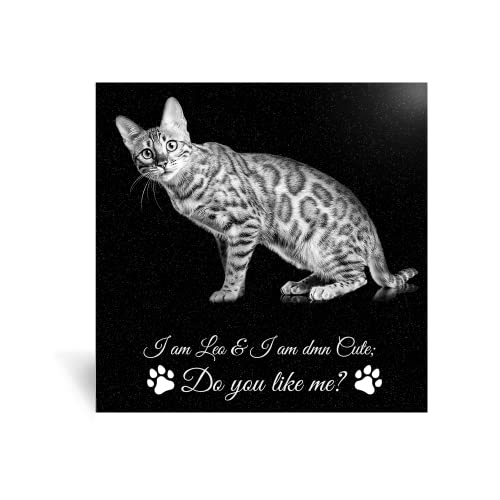 ADFSTONE Pet Memorial Stones personalisierte Hund Erinnerung Geschenke, maßgeschneiderte Katze Bild trauernde Plaque, Grabstein, Schiefertafel Gedenktafel Erinnerung Geschenke. von ADFSTONE