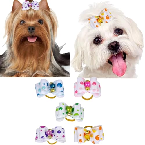 ADIASEN 5 x Hundehaarschleifen mit Gummibändern für kleine und mittelgroße Hunde, Welpen, Topknoten, Haarpflege-Zubehör, für Yorkshire Terrier, Malteser, Teddy, Mädchen, Spielzeug, Pudel, 5 Farben von ADIASEN