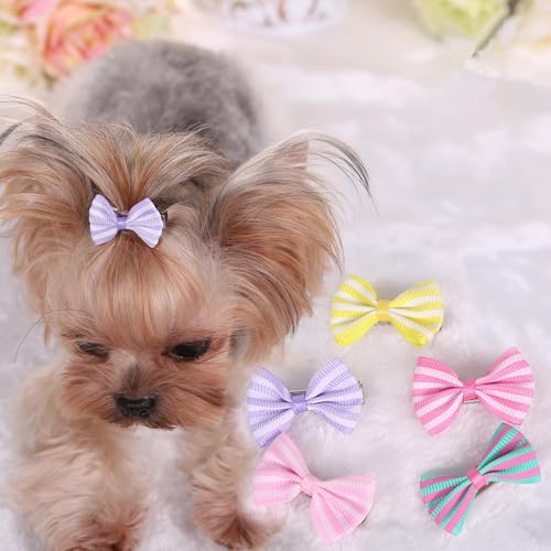 ADIASEN Haarschmuck für Hunde, Schleife, gestreift, für Hunde, Welpen, Teddy, Yorkshire Terrier, Malteser, Haar-Accessoires, Fellpflege, 5 Stück von ADIASEN