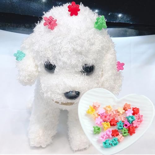 ADIASEN Mini-Hunde-Haar-Accessoires, Krallen, Katzen-Haarklammer, Teddy, Yorkshire, Malteser, Hunde-Haar-Accessoires, 10 Stück von ADIASEN