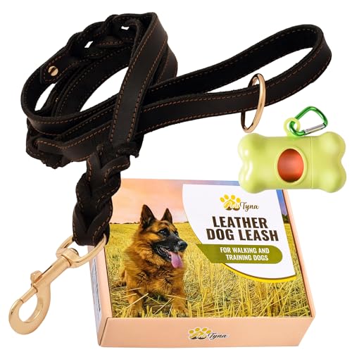 ADITYNA Geflochtene Leder-Hundeleine – Doppelgriff – tolle Geschenkidee für Weihnachten – weiche und starke geflochtene Lederleine für große und mittelgroße Hunde (zwei Griffe, 1.8 mx1.6 cm, schwarz) von ADITYNA