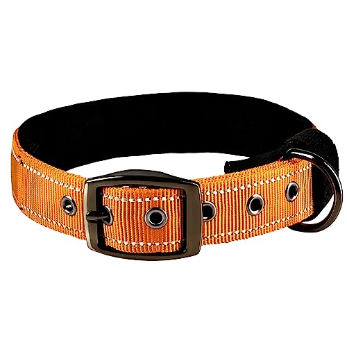 ADITYNA Hundehalsbänder für kleine Hunde – gepolstert, sehr bequem, weiches Neopren, reflektierend, strapazierfähig – Orange, kleines Halsband von ADITYNA