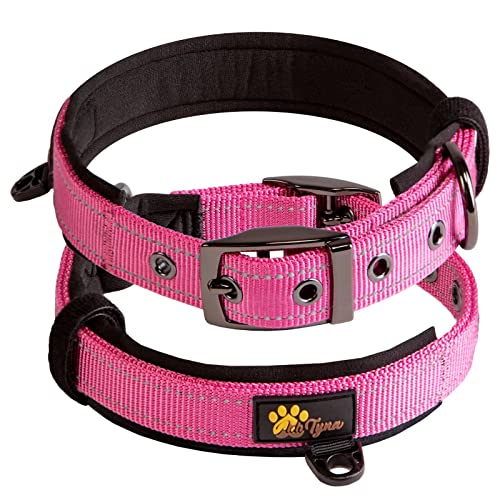 ADITYNA - Rosa Hundehalsband für extra kleine Hunde – sehr bequem, weiches Neopren gepolstert von ADITYNA