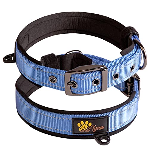 ADITYNA Hundehalsbänder für kleine Hunde – gepolstert, sehr bequem, weiches Neopren, reflektierend, strapazierfähig – blaues kleines Halsband von ADITYNA