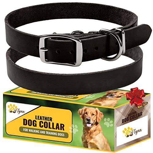 Adityna - Leder-Hundehalsband für extra kleine Hunde und Welpen - Klassischer Stil, weich und stark, strapazierfähige Leder-Hundehalsbänder für kleine Hunde (XS - Hals: 10-13 Zoll, Schwarz) von ADITYNA