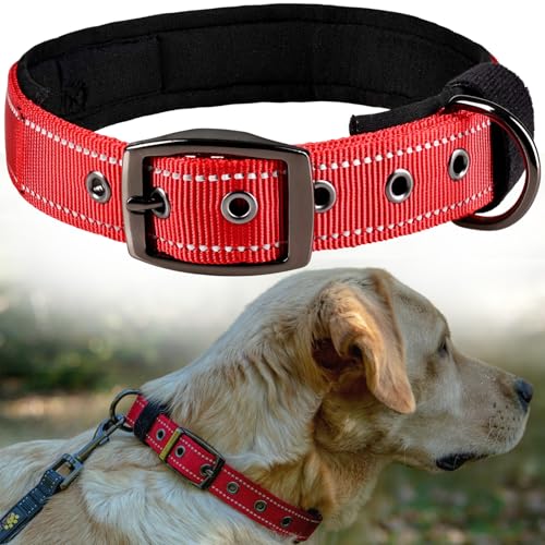 Mittelgroßes Hundehalsband, verstellbar für 38,1 - 50,8 cm Halsumfang – weich, bequem, leicht, strapazierfähig, reflektierendes Design von ADITYNA