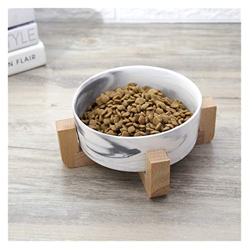 ADJAN Katzennapf Keramik Trocknen Sie Keramik-Fressnäpfe Und Töpfe Nahrungsmittelwasser und Katze und Hund Snacks Make Kätzchen und Welpen bequemeres und haltbareres (Color : G, Size : M) von ADJAN