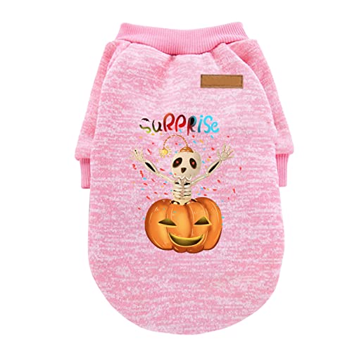 ADMAY Halloween Kostüm Damen Hexenkostüm Teufel Y26K Halloween-Hemden Welpenhemden Haustierkleidung Lustige Halloween-Cosplay-Haustierkostüme Hundemantel Outdoor 2 in 1 (Pink, M) von ADMAY