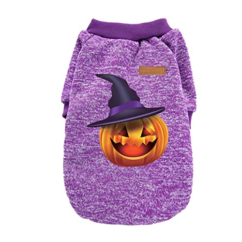 ADMAY Halloween Kostüm Damen Hexenkostüm Teufel Y26K Halloween-Hemden Welpenhemden Haustierkleidung Lustige Halloween-Cosplay-Haustierkostüme Hundemantel Outdoor 2 in 1 (Purple, XL) von ADMAY