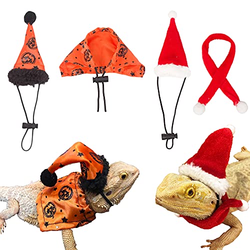 ADOGGYGO Bärtiger Drache Halloween Hut Umhang Eidechse Weihnachtsmütze Schal Set Kleintier Halloween Weihnachten Festival Kostüm (Halloween & Weihnachten) von ADOGGYGO