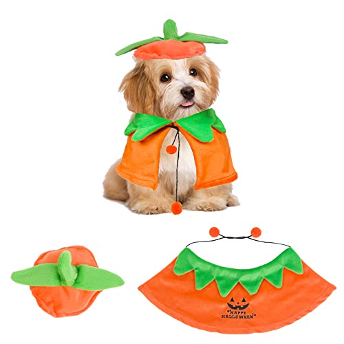 ADOGGYGO Halloween Hund Kostüme Hund Halloween Kürbis Umhang Hut Set Haustier Halloween Kürbis Kostüme für Kleine Mittlere Hunde Haustiere (Kürbis) von ADOGGYGO