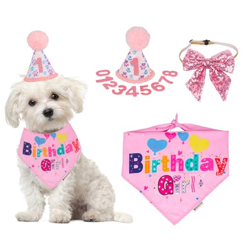 ADOGGYGO Hundegeburtstags-Partyzubehör, Junge Mädchen Hund Geburtstag Hut mit Zahlen Hund Welpen Geburtstag Bandana Hut Schleife Set (klein, rosa) von ADOGGYGO