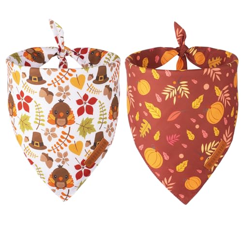 ADOGGYGO Thanksgiving Hundehalstuch, Kürbis Truthahn, verschiedene Größen angeboten, Herbst Blätter Hund Thanksgiving Bandanas für große und extra große Hunde Haustiere (X-Large, Thanksgiving-2) von ADOGGYGO