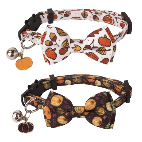 ADOGGYGO Thanksgiving Katzenhalsband mit Fliege Glocke – 2 Stück Herbst Kürbis Kätzchen Halsband mit abnehmbarer Fliege Katze Thanksgiving Schleife Halsband für Katze Kätzchen (Thanksgiving) von ADOGGYGO