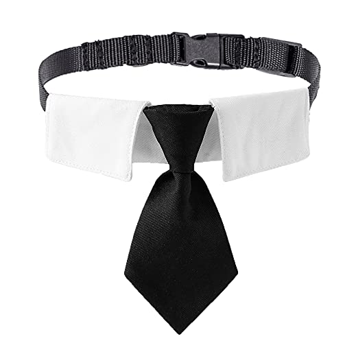 ADOGGYGO Verstellbares Hundehalsband, Halsband mit schwarzer Krawatte, Hochzeit, formelle Hundehalsbänder für mittelgroße und große Hunde, Haustiere (groß, schwarz) von ADOGGYGO