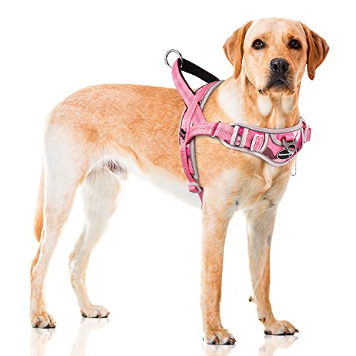 ADVENTUREMORE Ausbruchsicheres Hundegeschirr, verstellbare reflektierende atmungsaktive Stepin Hundeweste, kein Ziehen Hundegeschirr mit einfacher Kontrolle Frontclip Griff für kleine Hunde M dchen von ADVENTUREMORE