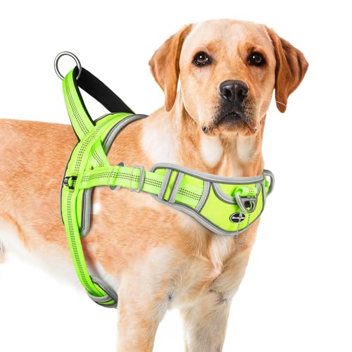 ADVENTUREMORE Hundegeschirr, mittelgroß, kein Ziehen, Hundehalfter, verstellbar, reflektierend, ausbruchsicher, Hundegeschirr mit einfacher Kontrolle, Frontclip-Griff für Training, Spazierengehen, von ADVENTUREMORE