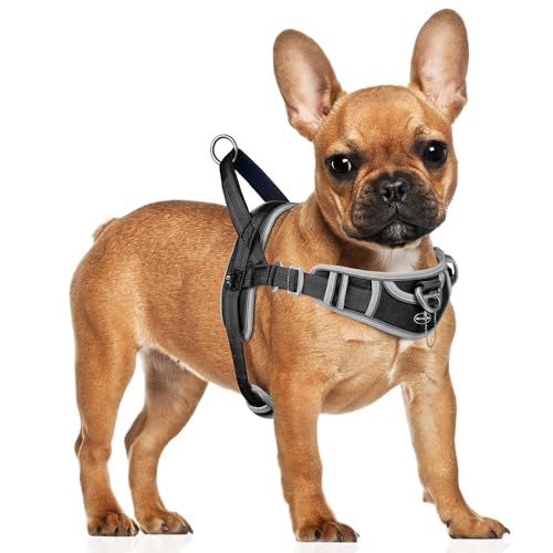 ADVENTUREMORE Hundegeschirr für kleine Hunde, kein Ziehen, verstellbares reflektierendes Hundeweste, ausbruchsicher, Hundegeschirr mit einfacher Kontrolle, Frontclip, Griff für Training, von ADVENTUREMORE