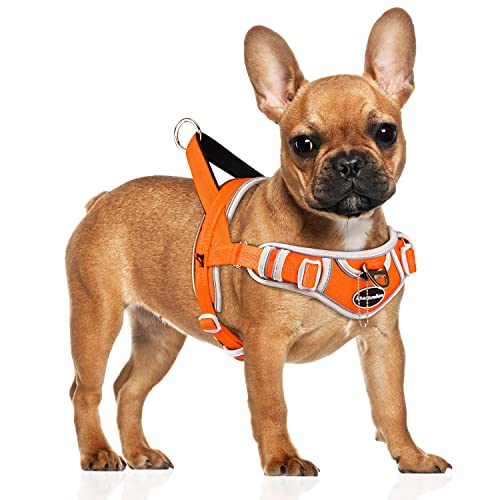 ADVENTUREMORE Hundegeschirr für kleine Hunde kein Ziehen, Hundehalfter Geschirr Einstellbare Reflektierende Hundeweste Ausbruchsicheres Hundegeschirr mit einfacher Kontrolle Frontclip Griff für Training Spazierengehen S Orange von ADVENTUREMORE