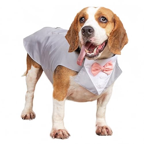 AEETYL Hochzeit großer Hund Haustier Smoking Anzug, Party Cosplay Feier Halloween Weihnachten Festival formeller Anlass Haustier Kostüm Mantel,Style1,XL von AEETYL