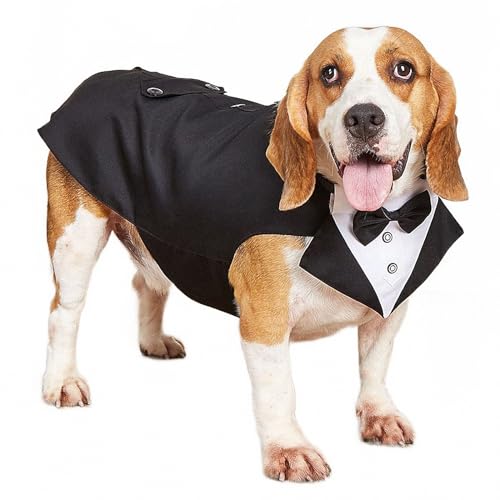 AEETYL Hochzeit großer Hund Haustier Smoking Anzug, Party Cosplay Feier Halloween Weihnachten Festival formeller Anlass Haustier Kostüm Mantel,Style2,XL von AEETYL