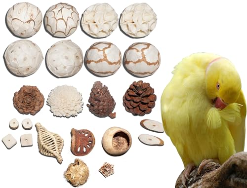 AEspares Bird Toys Interaktives und langlebiges Spielspielzeug für Haustiere, Vögel, Papageien, Nymphensittiche, Sittiche, Wellensittiche, andere Papageien, Rassen und Vogelrassen (Vogelspielzeug-Set, von AEspares