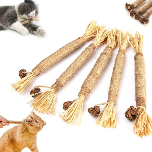 1/3/5Pcs Nylatails Silvervine Dental Stick, Nylatails Cat Chew Stick, Nyla Tails for Cats, Silvervine Cat Toy for Cat Teeth Cleaning, Nylatails Natural Silvervine Dental Sticks Cat Toys (1Pcs) von AFGQIANG