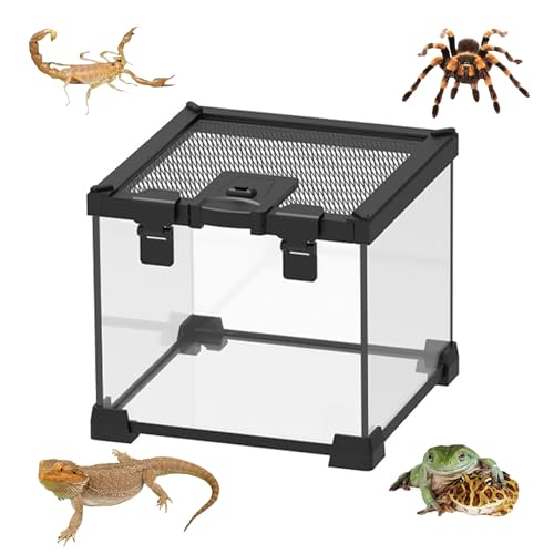 AFGSsm Reptilien Terrarium Glas, Schnecken Terrarium, Schildkröten Terrarium, Anti-Flucht-Design für Insekten, Wasserschildkröten, Vogelspinnen(20 * 20 * 16cm) von AFGSsm