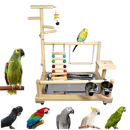 AFGSsm Wellensittiche Spielplatz, Vogelspielplatz, Spielplatz für wellensittiche, Parrot playstand, Vogelspielzeug(37 * 26 * 44CM) von AFGSsm