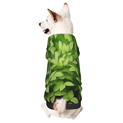 Hunde-Kapuzenpullover mit Blätterregen, mit Mütze, weicher Mantel für kleine, mittelgroße und große Hunde von AFINDI