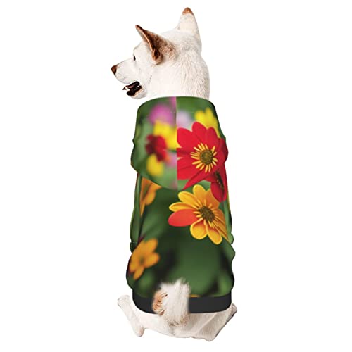 Hunde-Kapuzenpullover mit Blume, Hundepullover mit Hut, weicher Mantel für kleine, mittelgroße und große Hunde, Rot / Gelb von AFINDI