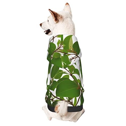 Hunde-Kapuzenpullover mit grünen Blättern, Haustierkleidung mit Hut, weicher Mantel für kleine, mittelgroße und große Hunde von AFINDI