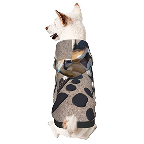 Niedlicher Hunde-Kapuzenpullover mit Mütze, weicher Mantel für kleine, mittelgroße und große Hunde von AFINDI