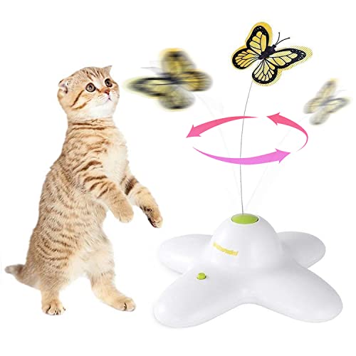 ALL FOR PAWS Katzenspielzeug Interaktive Schmetterling Katze Automatisches Spielzeug Stimulierende Kitty Spielzeug Anreicherung für Indoor Katzen von ALL FOR PAWS