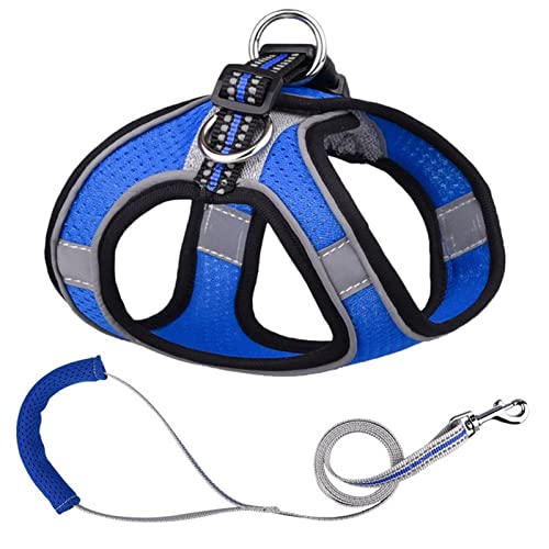 Sicherheitswesten Reflektierende Hundegeschirr Leine Set Nylon Haustier Katze Harness Hundeleine Verstellbare Haustiergurtweste for Welpen Medium Hund Haustierbedarf Reflektierende Westen (Color : Bl von AGBARR